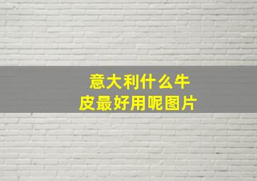 意大利什么牛皮最好用呢图片