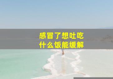 感冒了想吐吃什么饭能缓解