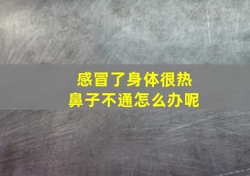 感冒了身体很热鼻子不通怎么办呢