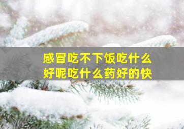 感冒吃不下饭吃什么好呢吃什么药好的快