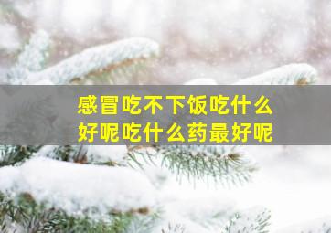 感冒吃不下饭吃什么好呢吃什么药最好呢