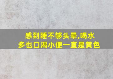 感到睡不够头晕,喝水多也口渴小便一直是黄色