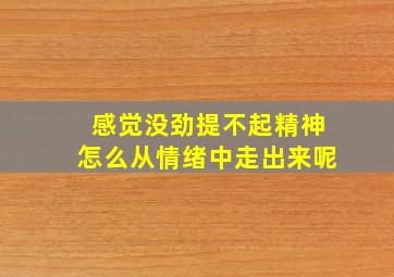 感觉没劲提不起精神怎么从情绪中走出来呢