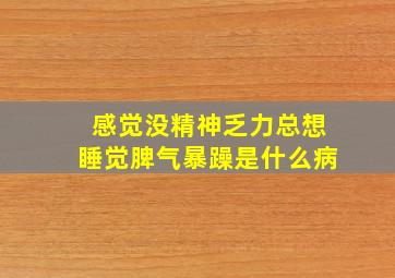 感觉没精神乏力总想睡觉脾气暴躁是什么病