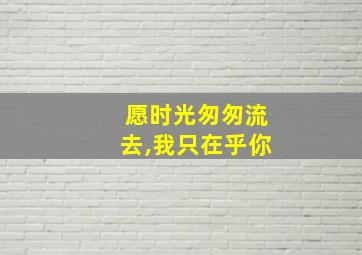 愿时光匆匆流去,我只在乎你