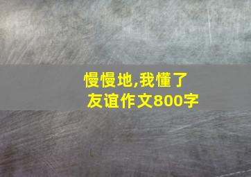 慢慢地,我懂了友谊作文800字