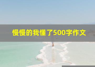 慢慢的我懂了500字作文