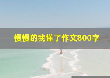 慢慢的我懂了作文800字