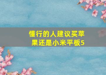 懂行的人建议买苹果还是小米平板5