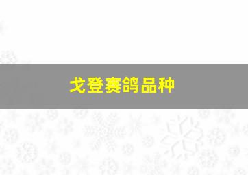 戈登赛鸽品种