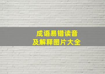 成语易错读音及解释图片大全