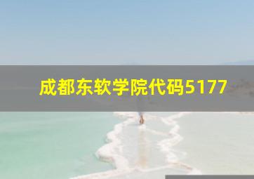 成都东软学院代码5177