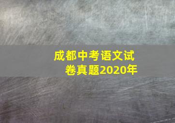 成都中考语文试卷真题2020年