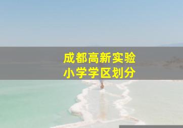 成都高新实验小学学区划分