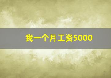 我一个月工资5000