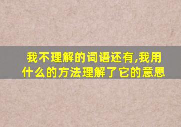 我不理解的词语还有,我用什么的方法理解了它的意思