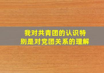 我对共青团的认识特别是对党团关系的理解