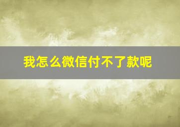 我怎么微信付不了款呢