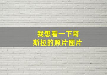 我想看一下哥斯拉的照片图片