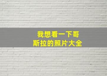 我想看一下哥斯拉的照片大全