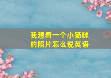 我想看一个小猫咪的照片怎么说英语