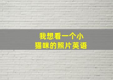 我想看一个小猫咪的照片英语