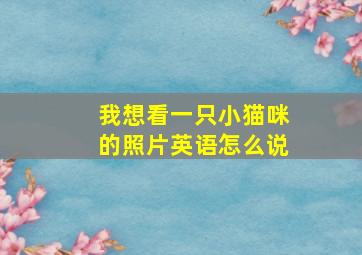 我想看一只小猫咪的照片英语怎么说