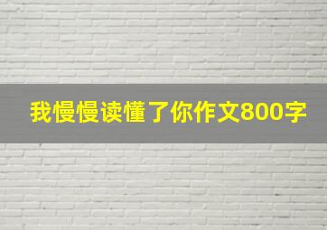 我慢慢读懂了你作文800字