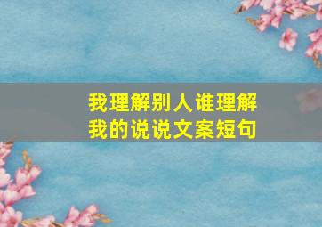 我理解别人谁理解我的说说文案短句