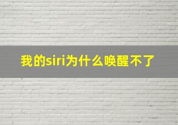 我的siri为什么唤醒不了