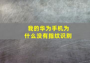 我的华为手机为什么没有指纹识别