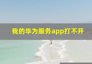 我的华为服务app打不开