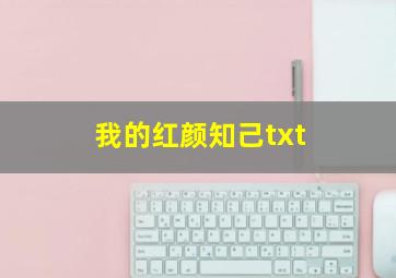 我的红颜知己txt