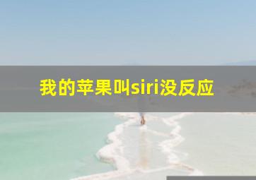 我的苹果叫siri没反应