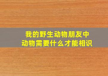 我的野生动物朋友中动物需要什么才能相识