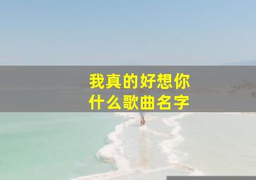 我真的好想你什么歌曲名字