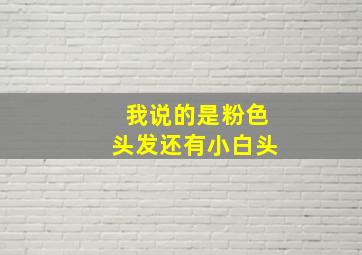 我说的是粉色头发还有小白头