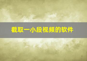 截取一小段视频的软件