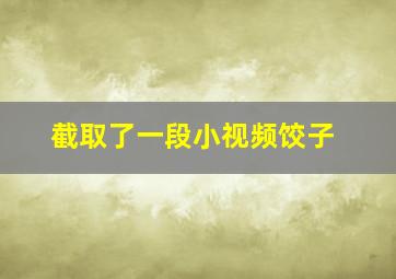 截取了一段小视频饺子