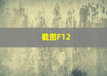 截图F12