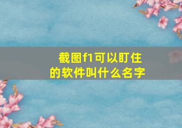 截图f1可以盯住的软件叫什么名字