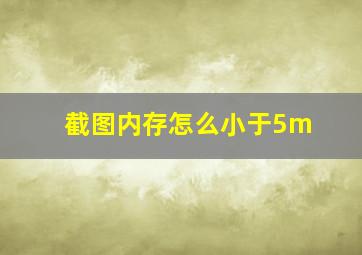 截图内存怎么小于5m