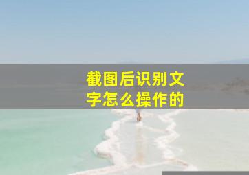 截图后识别文字怎么操作的