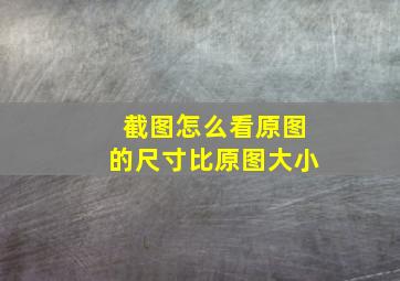 截图怎么看原图的尺寸比原图大小