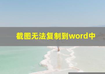 截图无法复制到word中