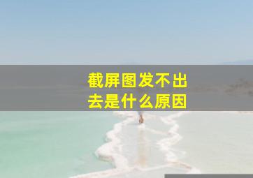 截屏图发不出去是什么原因