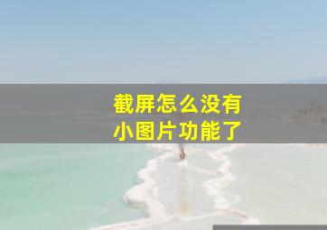 截屏怎么没有小图片功能了