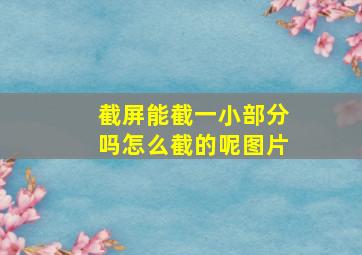 截屏能截一小部分吗怎么截的呢图片