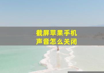 截屏苹果手机声音怎么关闭