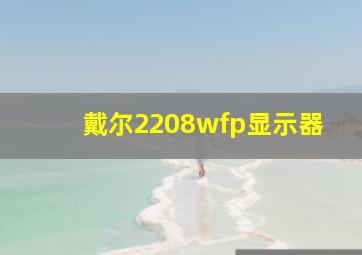 戴尔2208wfp显示器